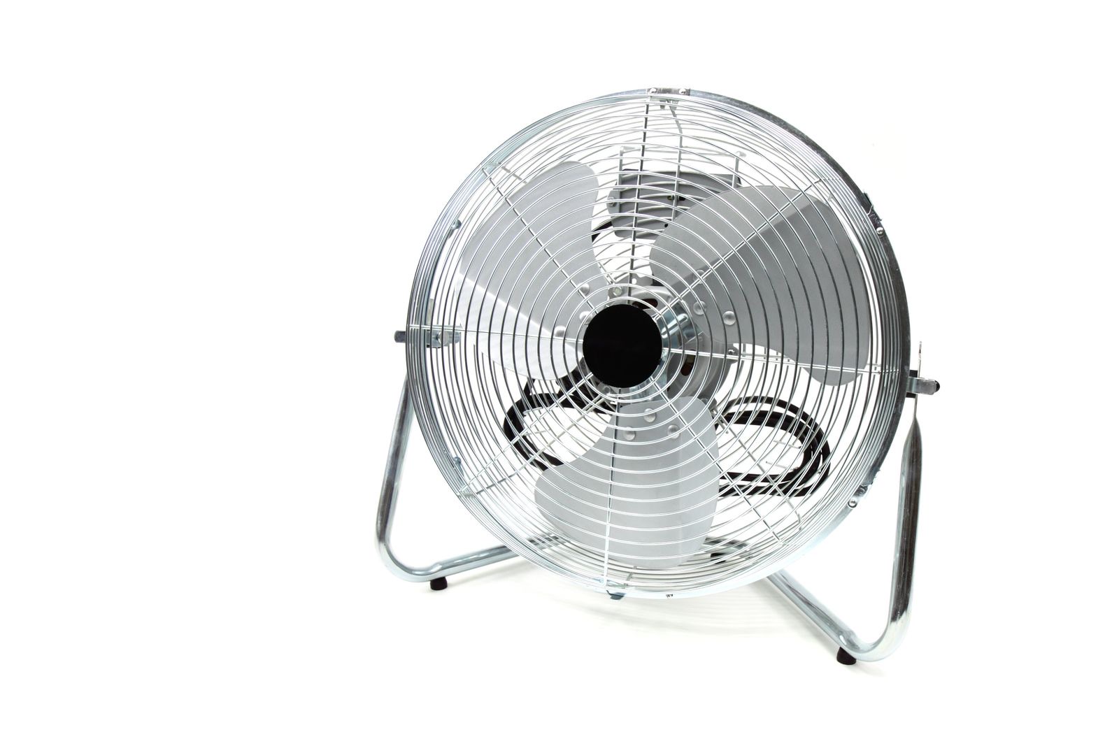 Fans