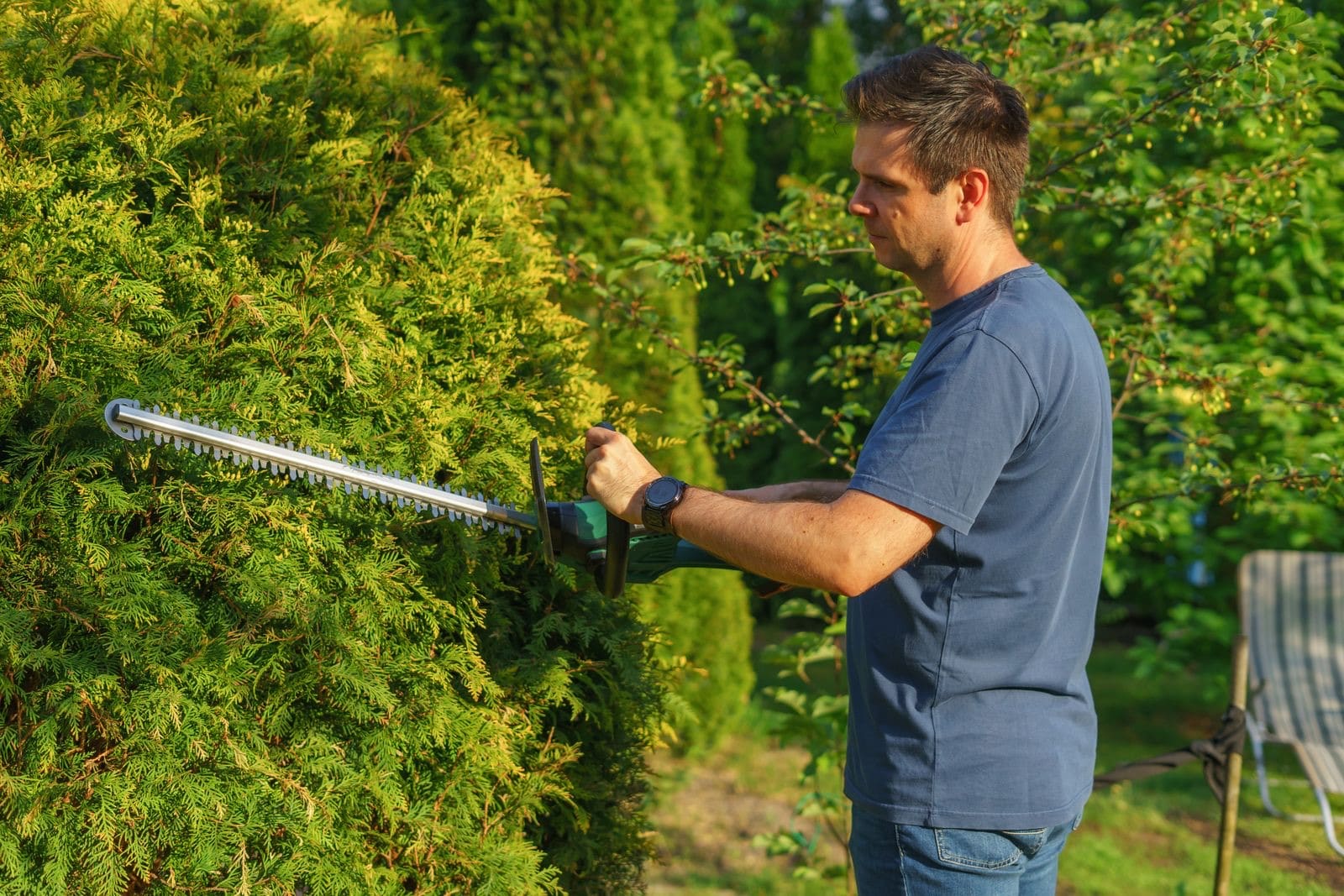 Hedge Trimmer