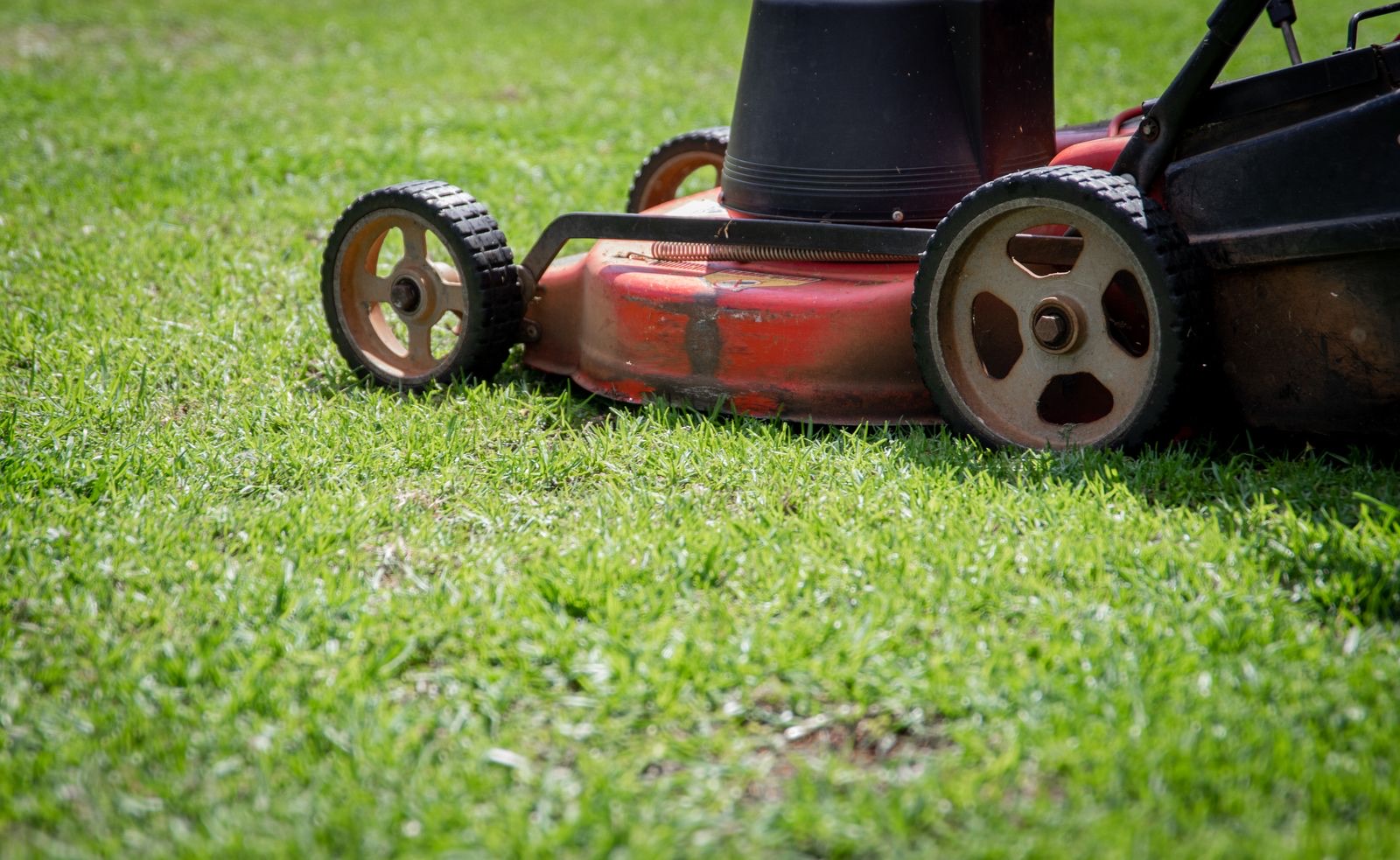 Lawn Mower